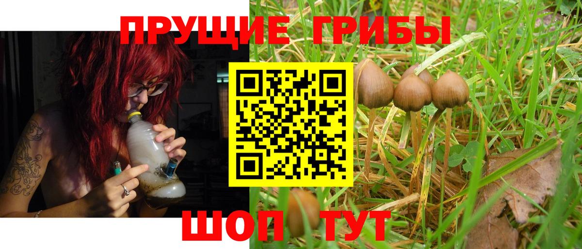 Псилоцибиновые грибы Cubensis Корсаков